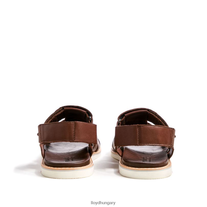 cipő HU LLOYD férfiak elimar barna 6444N583