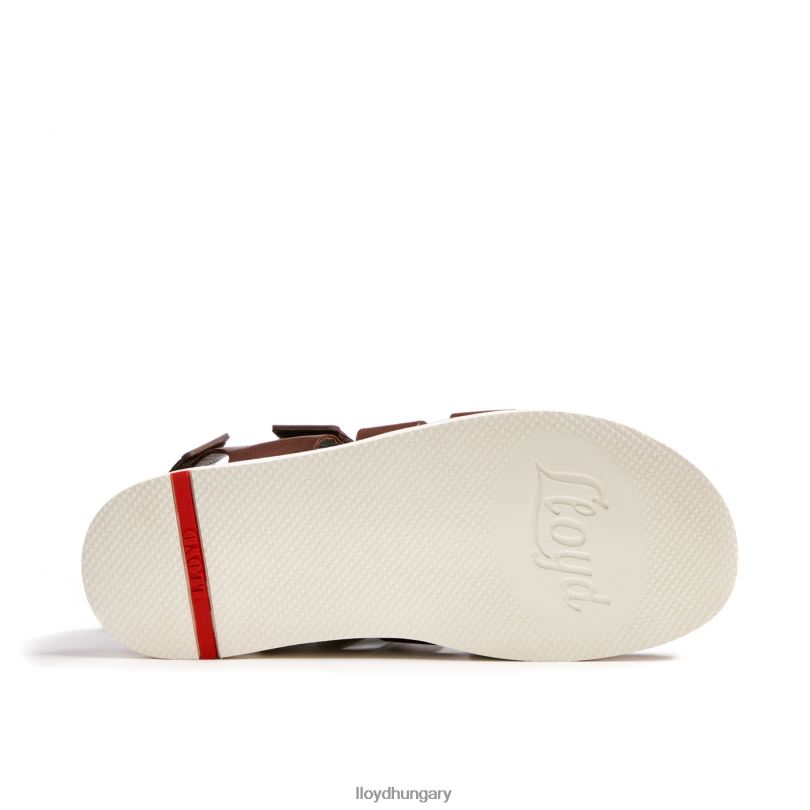 cipő HU LLOYD férfiak elimar barna 6444N583