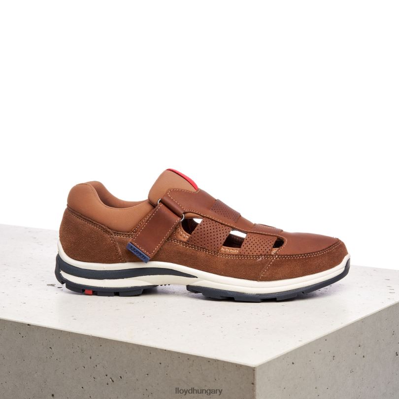 cipő HU LLOYD férfiak elrado barna 6444N625