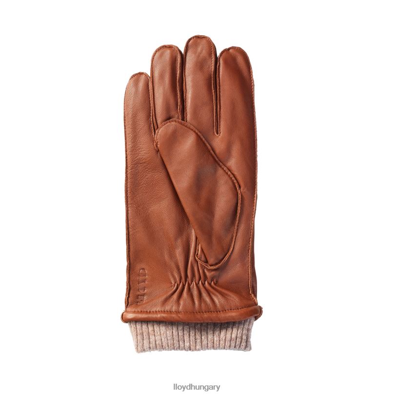 kiegészítők HU LLOYD férfiak bőrkesztyű barna 6444N709
