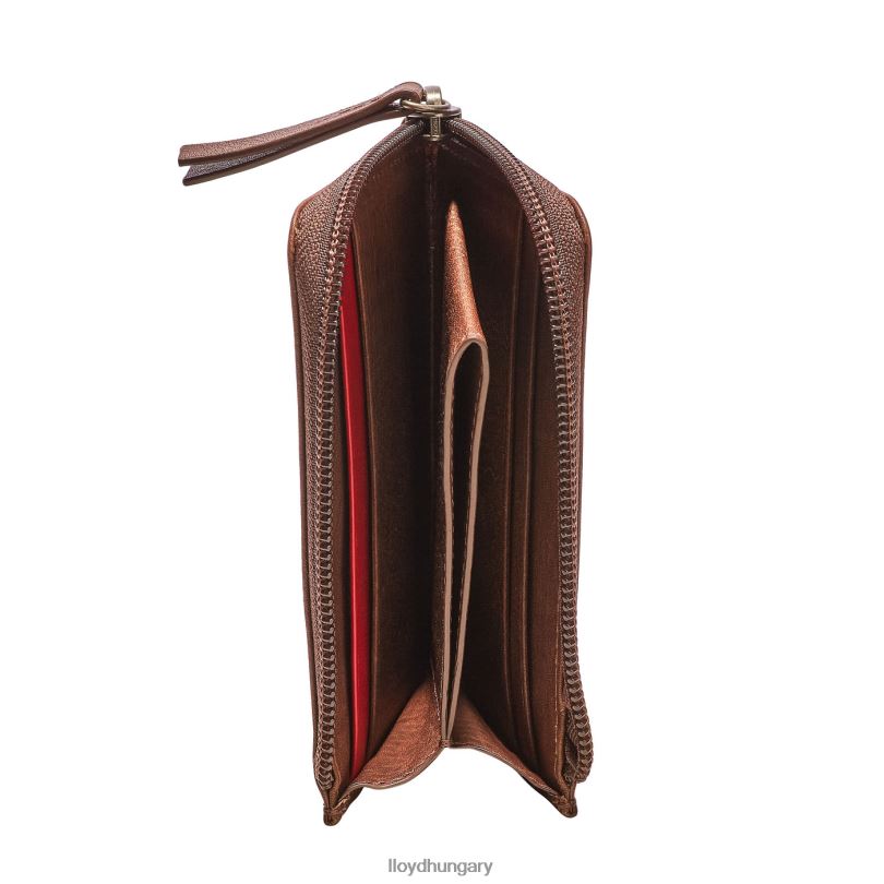 kiegészítők HU LLOYD férfiak kártyatartó barna 6444N660