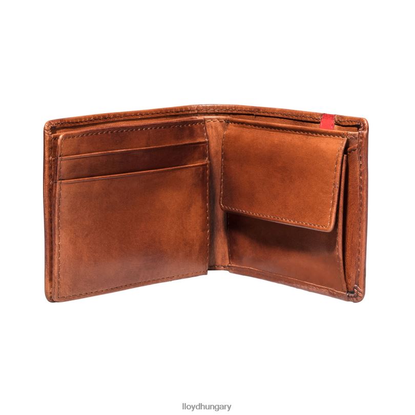 kiegészítők HU LLOYD férfiak zseb barna 6444N677