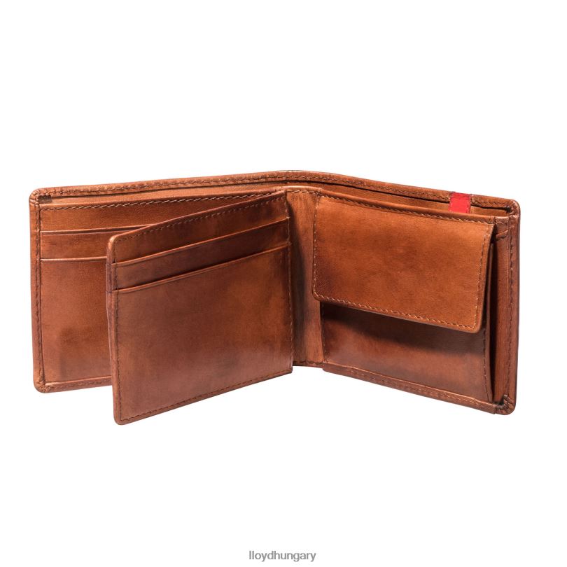 kiegészítők HU LLOYD férfiak zseb barna 6444N677