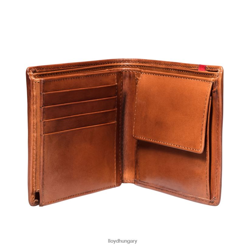 kiegészítők HU LLOYD férfiak zseb barna 6444N680