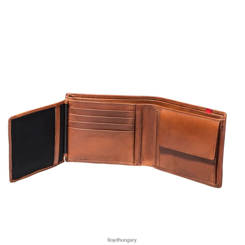 kiegészítők HU LLOYD férfiak zseb barna 6444N680