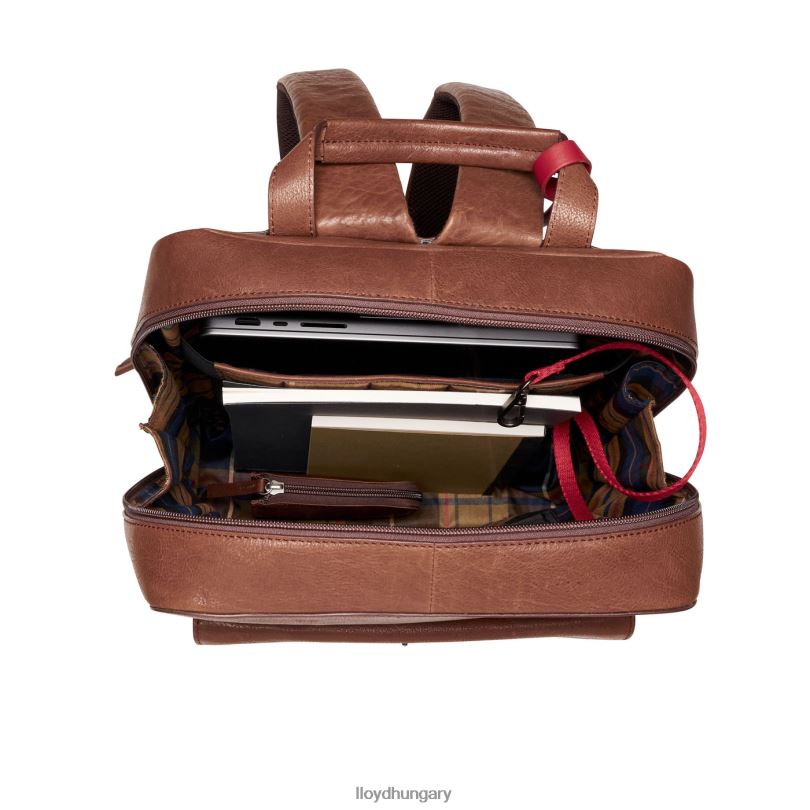 kiegészítők HU LLOYD férfiak hátizsák barna 6444N651