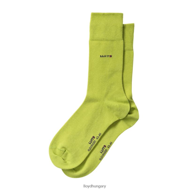 kiegészítők HU LLOYD férfiak Sándor zöld 6444N686