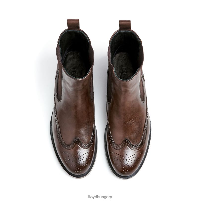 cipő HU LLOYD nők klasszikus bokacsizma barna 6444N905