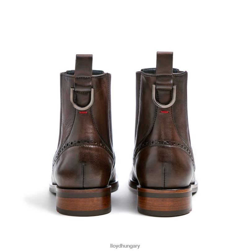 cipő HU LLOYD nők klasszikus bokacsizma barna 6444N905