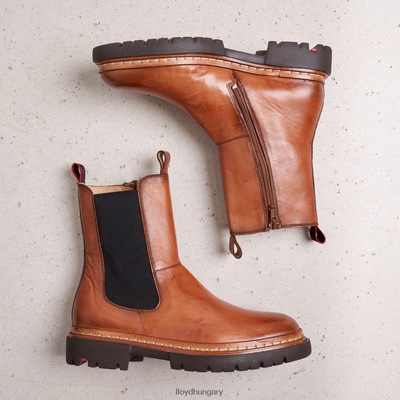 cipő HU LLOYD nők stiefelette barna 6444N963