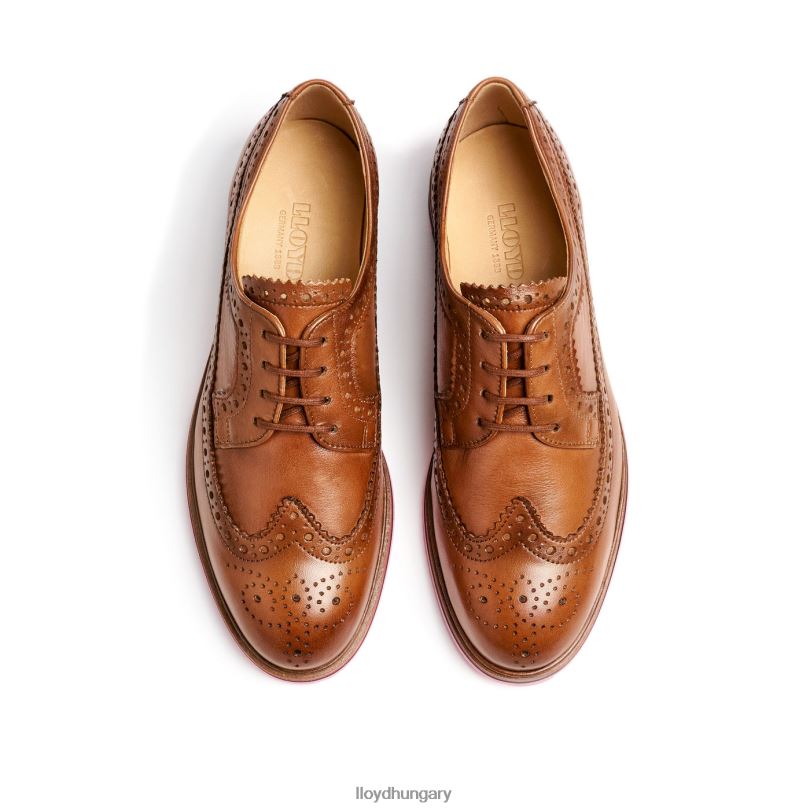 cipő HU LLOYD nők bőr csipke félcipő barna 6444N1048