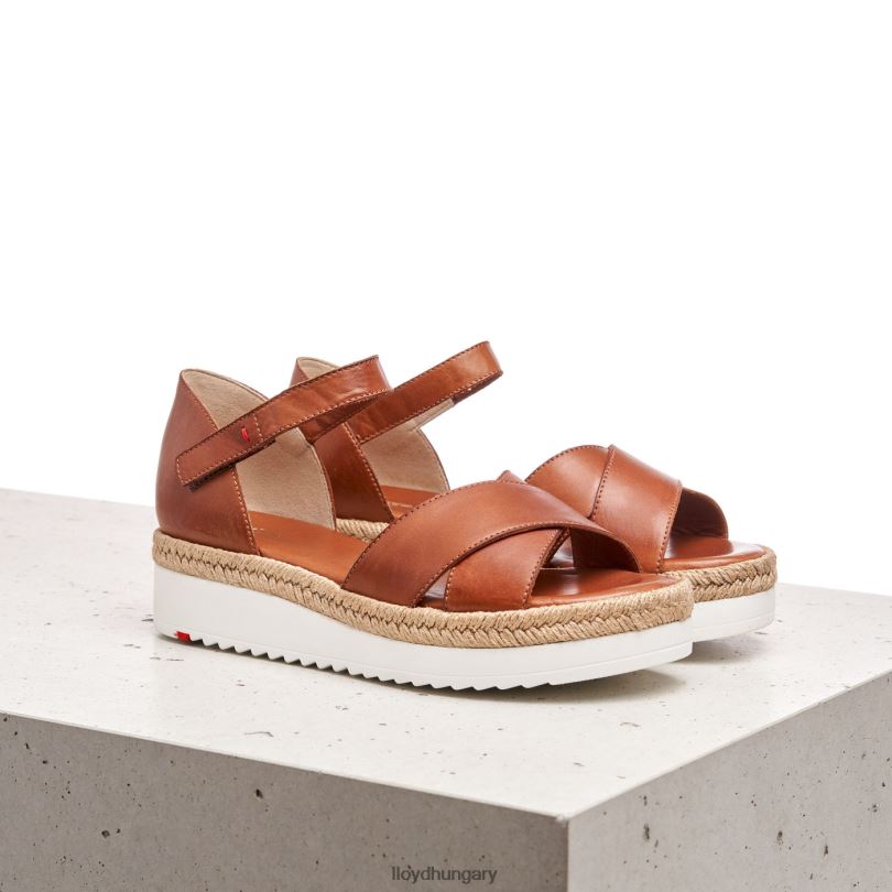 cipő HU LLOYD nők ékszandál barna 6444N1237